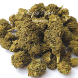 POWER PLANT 17.3% CBD - Invernadero