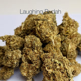 LAUGHING BUDAH 16.6% CBD - Invernadero