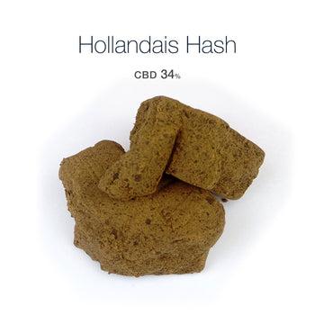 HOLLANDAIS Hash 34% CBD