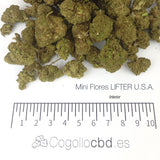 Mini Flores LIFTER U.S.A. 9.64% CBD - Interior
