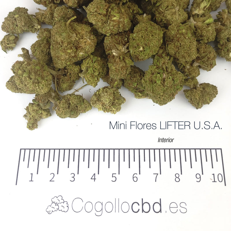 Mini Flores LIFTER U.S.A. 9.64% CBD - Interior