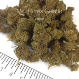 Mini Flores GELATTO 4.13% CBD - Interior