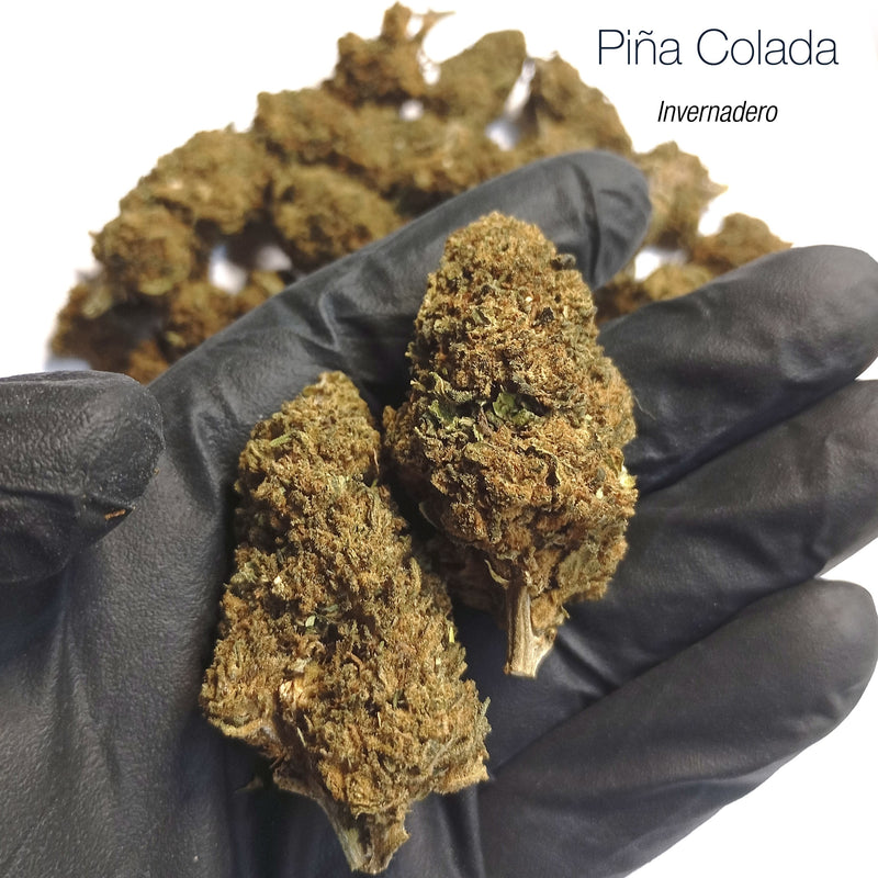 PIÑA COLADA - MEGA OFERTA !!!