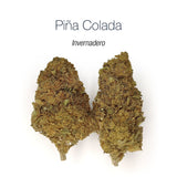 PIÑA COLADA - MEGA OFERTA !!!