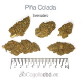 PIÑA COLADA - MEGA OFERTA !!!