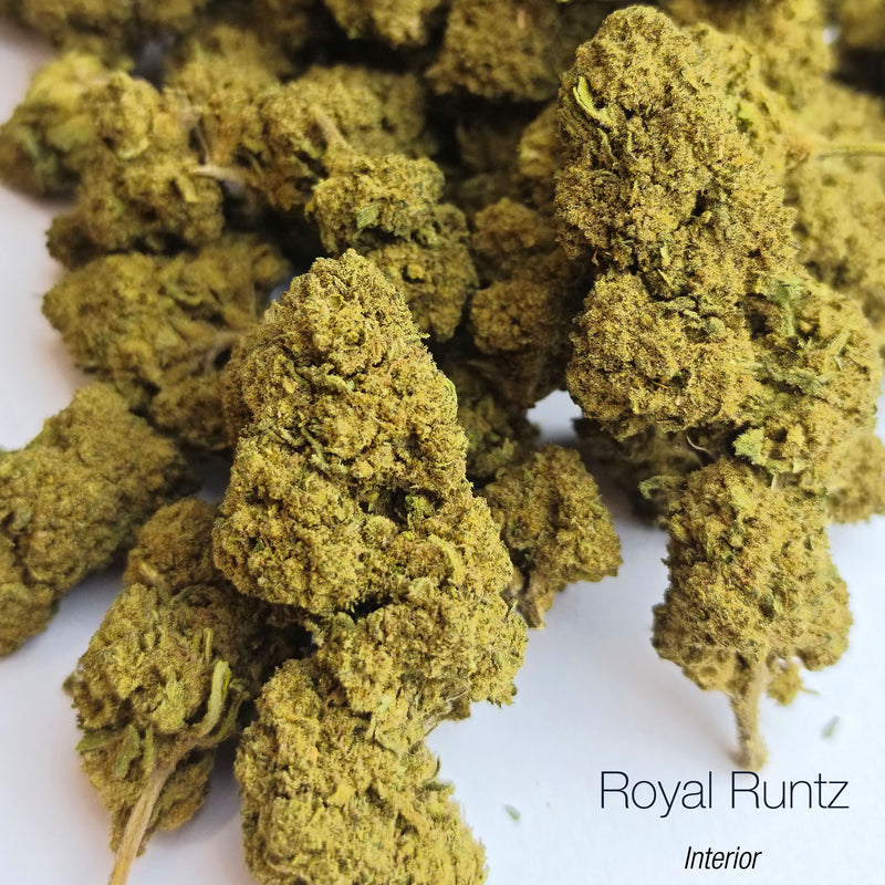 ROYAL RUNTZ 16.3% CBD - Interior