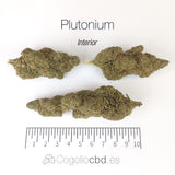 PLUTONIUM 7.6% CBD - Interior