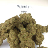 PLUTONIUM 7.6% CBD - Interior