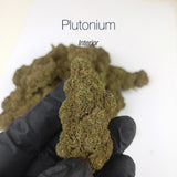 PLUTONIUM 7.6% CBD - Interior