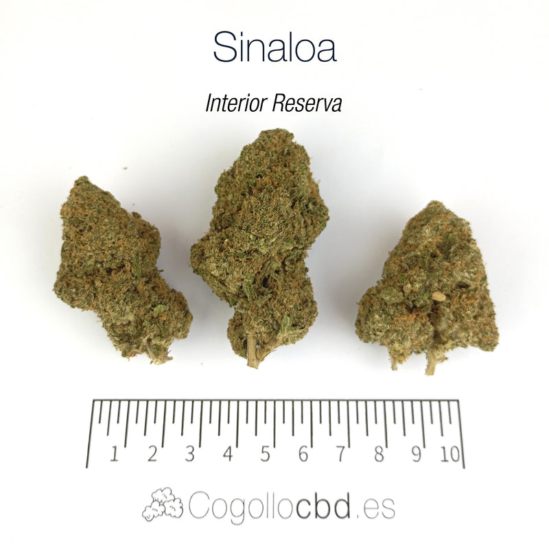 SINALOA 10.87% CBD - Interior Reserva