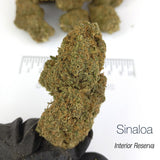 SINALOA 10.87% CBD - Interior Reserva