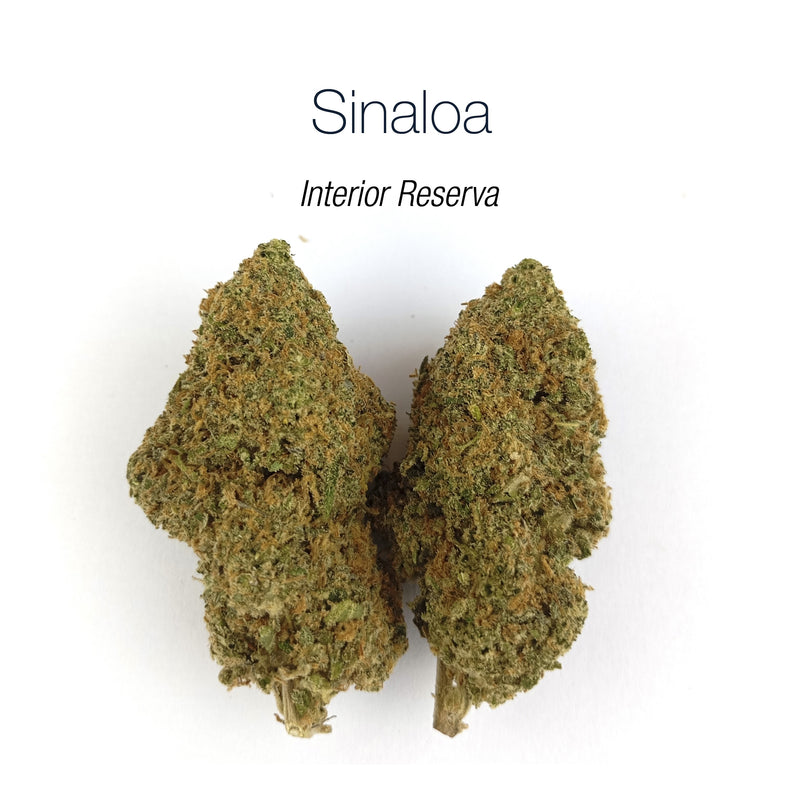 SINALOA 10.87% CBD - Interior Reserva