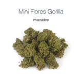 Mini Flores GORILLA 5.19% CBD - Invernadero