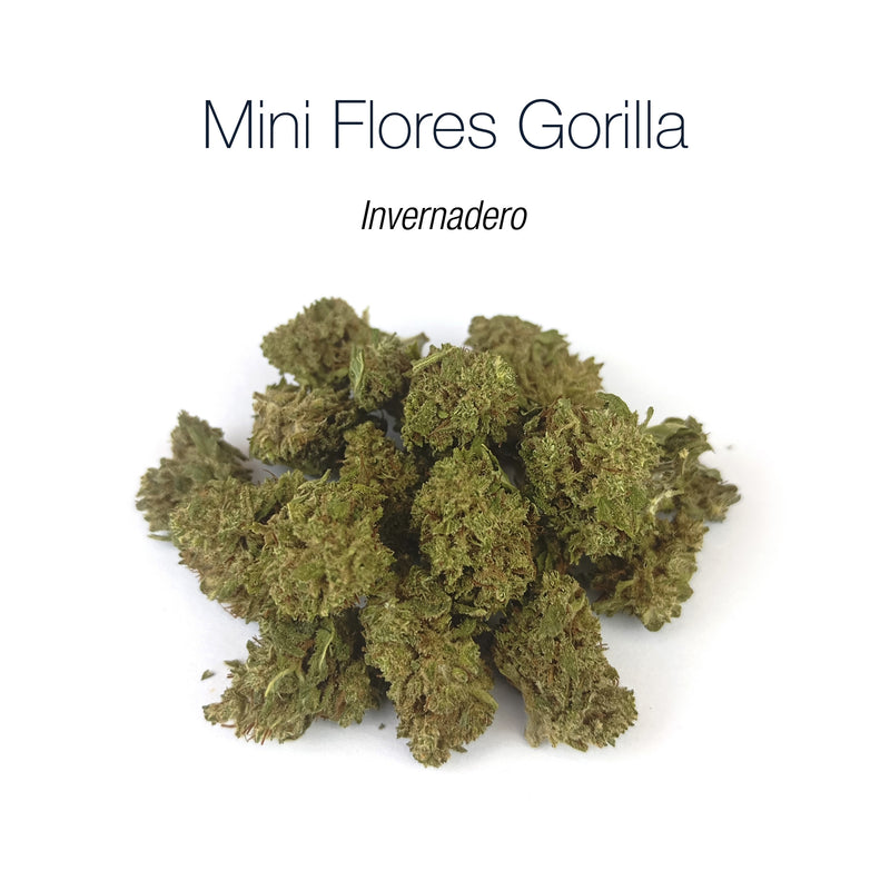 Mini Flores GORILLA 5.19% CBD - Invernadero