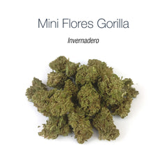 Mini Flores GORILLA 5.19% CBD - Invernadero