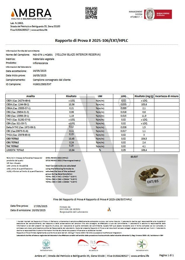 YELLOW BLAZE 10.45% CBD - Interior Reserva