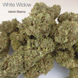 WHITE WIDOW 7.93% CBD - Interior Reserva