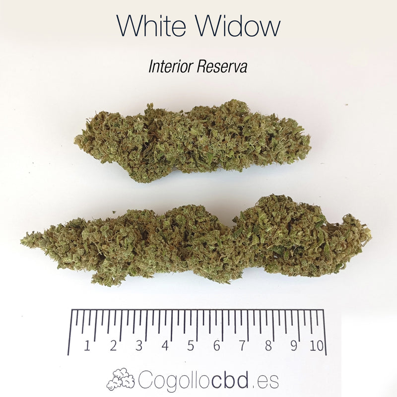 WHITE WIDOW 7.93% CBD - Interior Reserva
