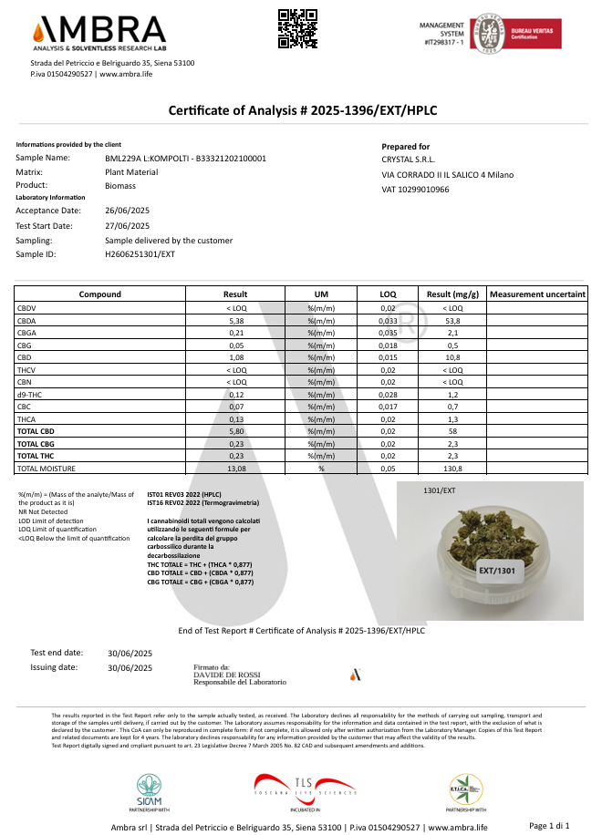 Mini Flores PINEAPPLE 5.8% CBD - Invernadero