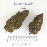 LIME PURPLE HAZE 10.93% CBD - Interior
