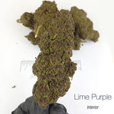 LIME PURPLE HAZE 10.93% CBD - Interior