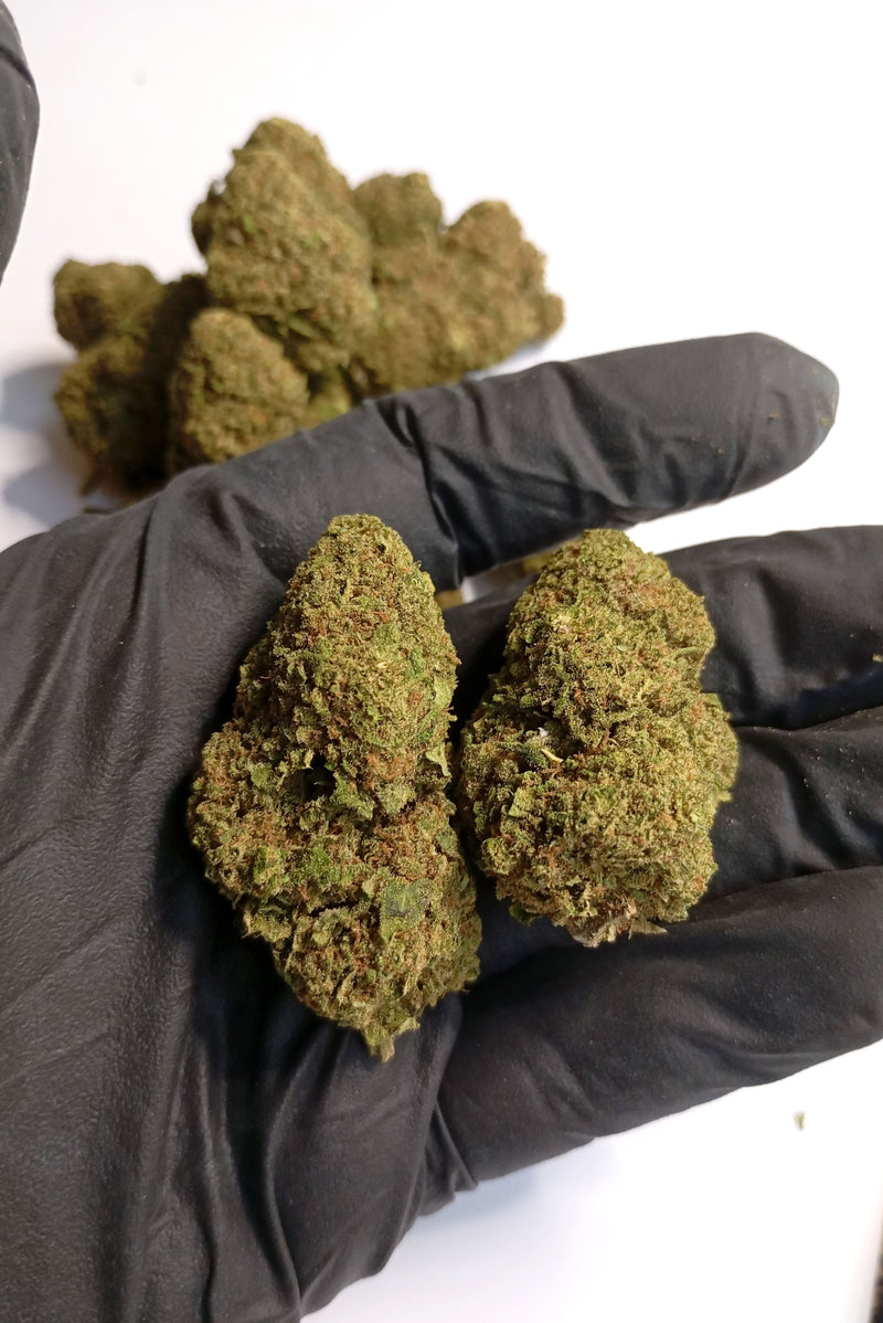 FROZEN CREAM 8% CBD - Interior