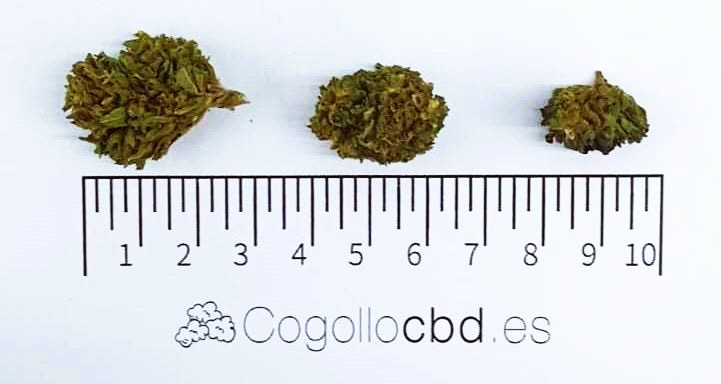 Mini Flores RAINBOW 7.23% CBD - Invernadero