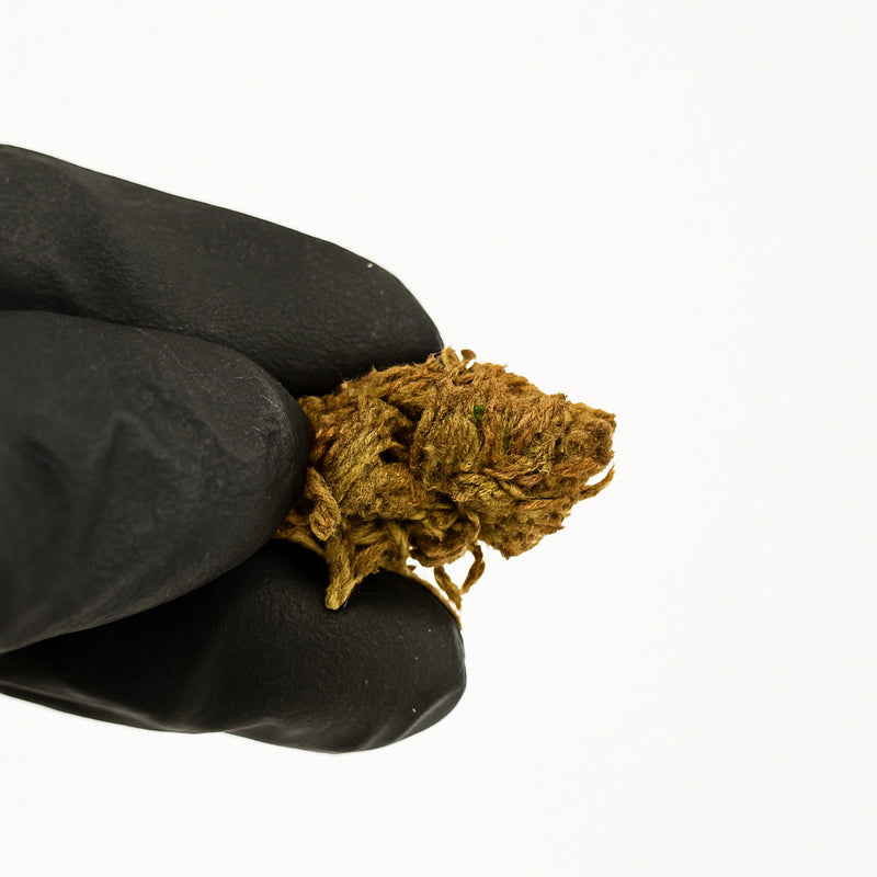 MINI FLORES NATURE 3,8% CBD – INTERIOR
