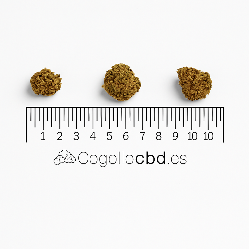 MINI FLORES NATURE 3,8% CBD – INTERIOR