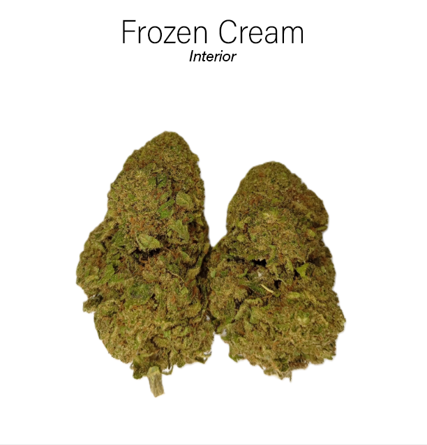 FROZEN CREAM 8% CBD - Interior