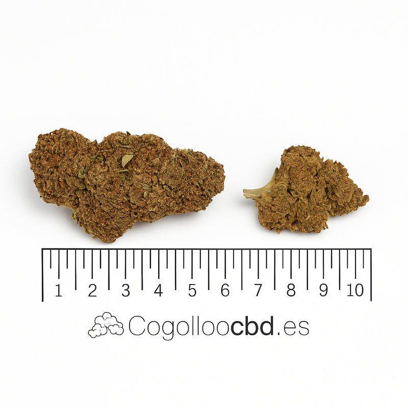 LIME PURPLE 7,79% CBD - Glass House