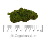 ORANGE LOVE 7.46% CBD - Invernadero