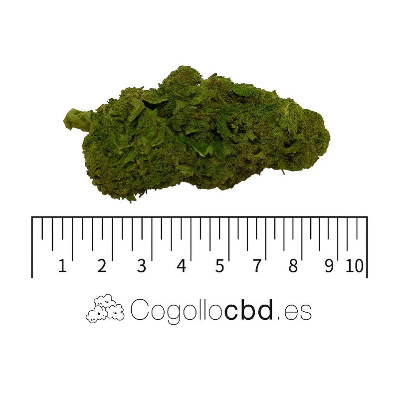 ORANGE LOVE 7.46% CBD - Invernadero