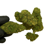 ORANGE LOVE 7.46% CBD - Invernadero
