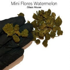 Mini Flores WATERMELON 7.41% CBD - Glass House