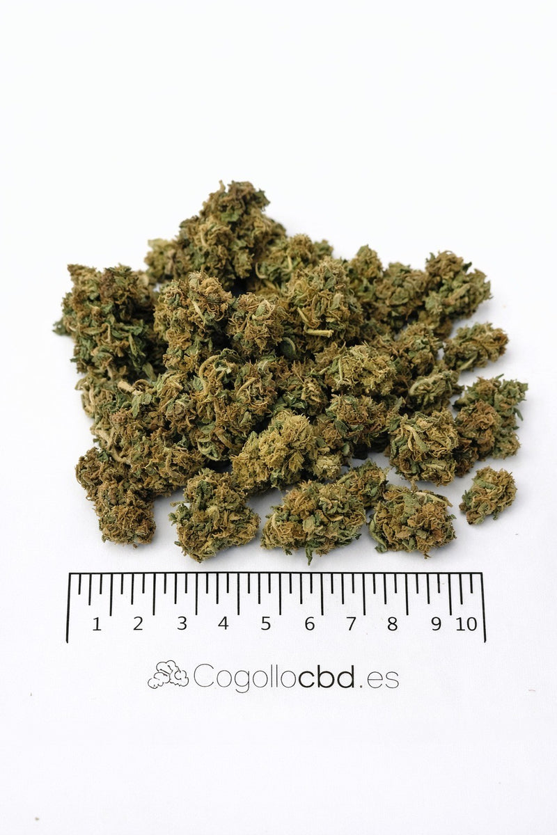 Mini Flores Pink Haze 13.57% CBD - Invernadero
