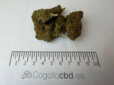 Orange Tonic 3,07% CBD - Glass House