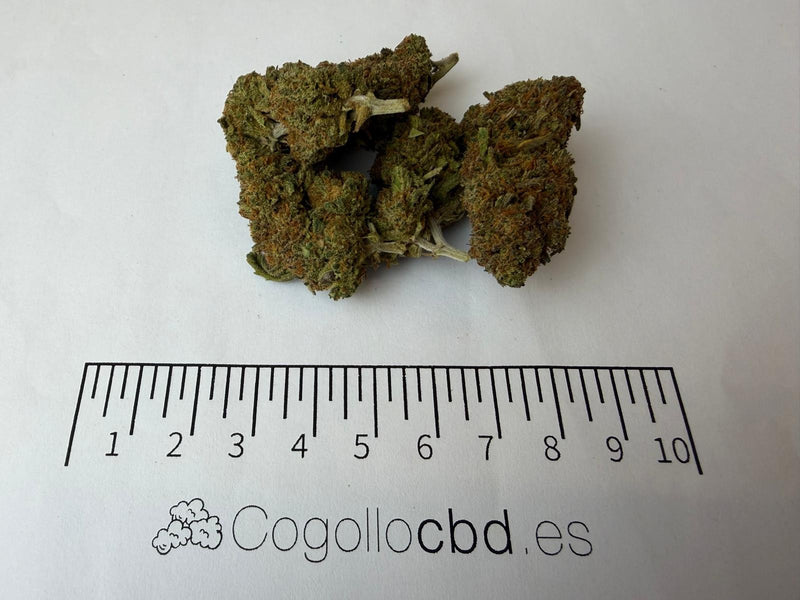 Orange Tonic 3,07% CBD - Glass House