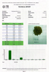 Alien 15,63% CBD - Glass House