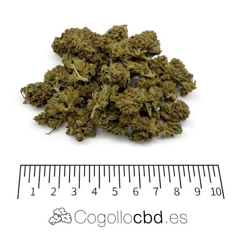 Mini Flores Lemon Skunk 3.80% CBD - Invernadero