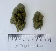 Legendary White 11,23% CBD - Glass House