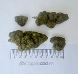Legendary White 11,23% CBD - Glass House