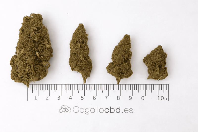 MANGO O.G 12.92% CBD - Glass House