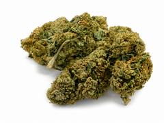 AMNESIA 20,09% CBD - Glass House