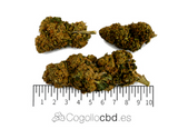 AMNESIA 20,09% CBD - Glass House