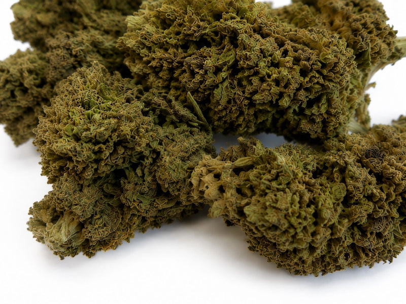 ULTRA PINK 14.88% CBD - Invernadero