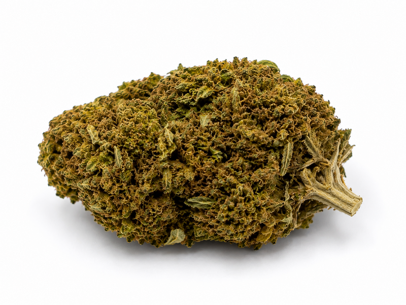 APPLE FRITZER 6.8% CBD - Invernadero