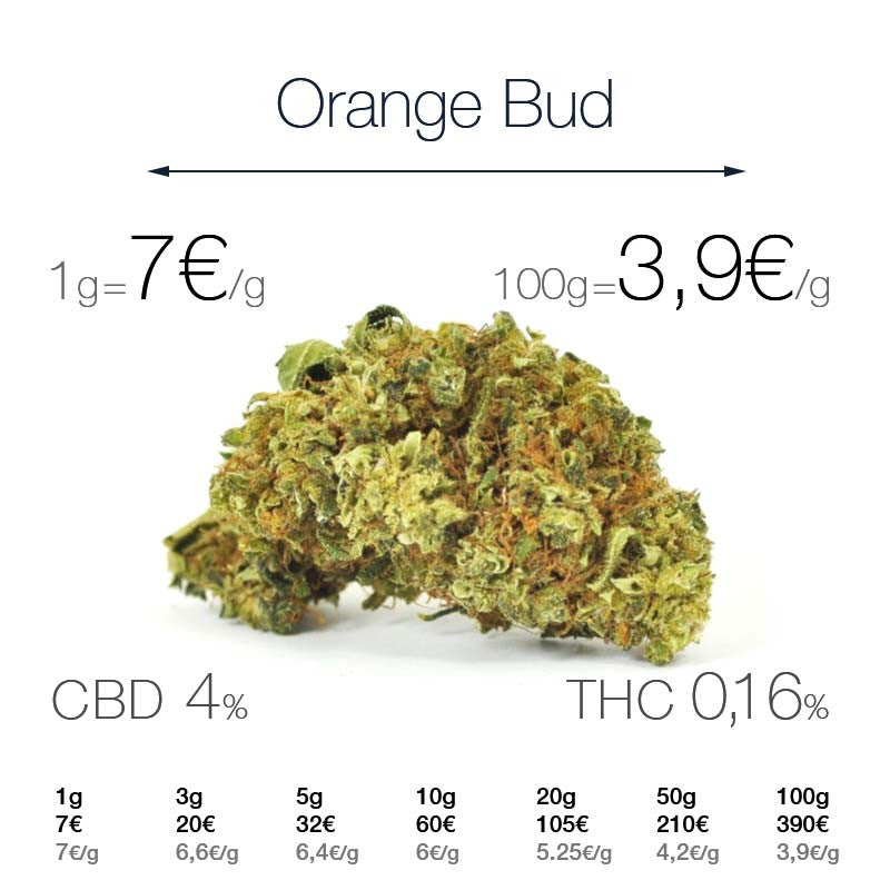 ORANGE BUD 4% CBD - Interior