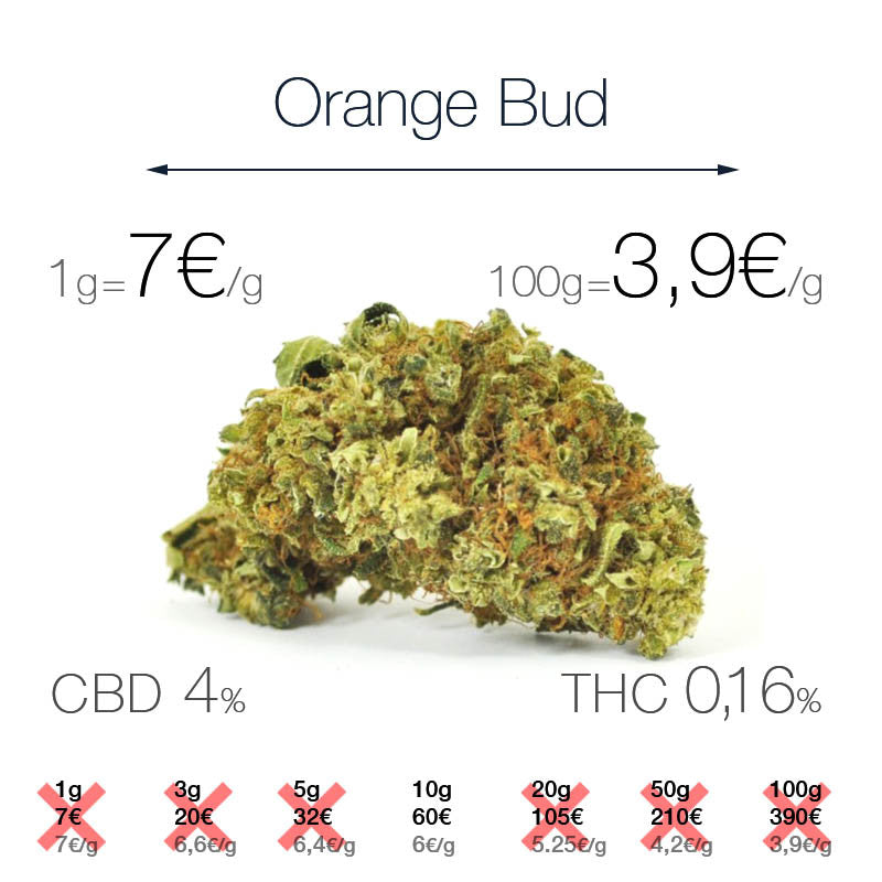 ORANGE BUD 4% CBD - Interior