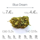 Blue Dream - cogollo CBD